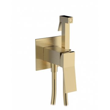 Смеситель для биде скрытого монтажа Ganzer (Ганзер) GZ05157-S Матовое золото