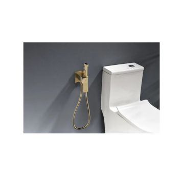 Смеситель для биде скрытого монтажа Ganzer (Ганзер) GZ05157-S Матовое золото