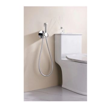 Смеситель для биде скрытого монтажа Ganzer (Ганзер) GZ19157 Хром