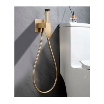 Смеситель для биде скрытого монтажа Ganzer (Ганзер) GZ44157-S Матовое золото