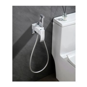 Смеситель для биде скрытого монтажа Ganzer (Ганзер) GZ44157-F Белый/хром