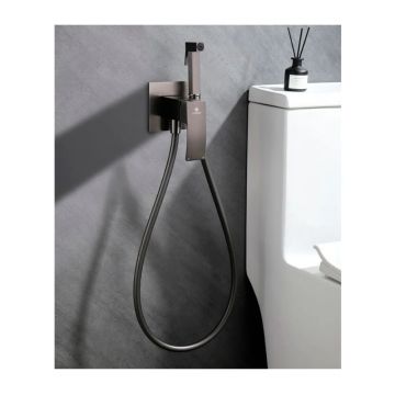 Смеситель для биде скрытого монтажа Ganzer (Ганзер) GZ44157-Q Графит