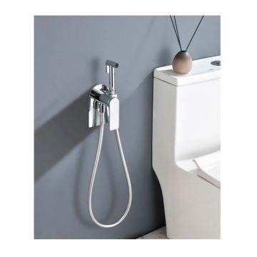 Смеситель для биде скрытого монтажа Ganzer (Ганзер) GZ07157 Хром