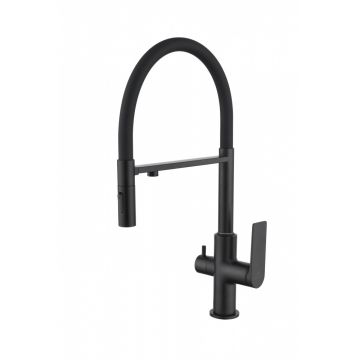 Смеситель для кухни Ganzer (Ганзер) GZ07127-C под фильтр, черный