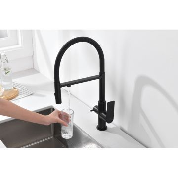 Смеситель для кухни Ganzer (Ганзер) GZ07127-C под фильтр, черный