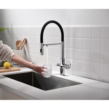 Смеситель для кухни Ganzer (Ганзер) GZ19127 под фильтр, хром,черный