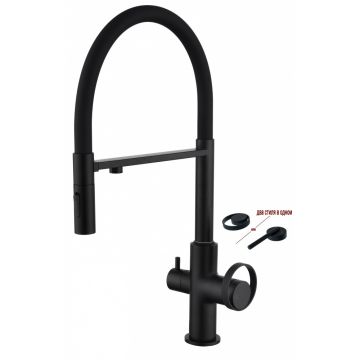 Смеситель для кухни Ganzer (Ганзер) GZ19127-C под фильтр, черный