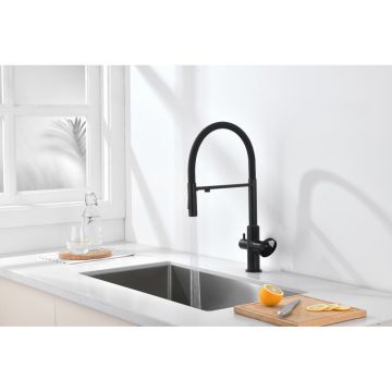 Смеситель для кухни Ganzer (Ганзер) GZ19127-C под фильтр, черный