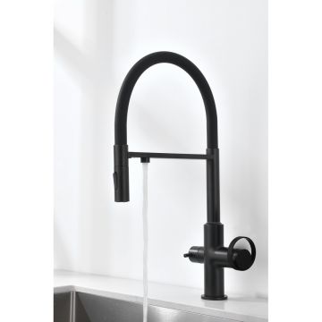 Смеситель для кухни Ganzer (Ганзер) GZ19127-C под фильтр, черный