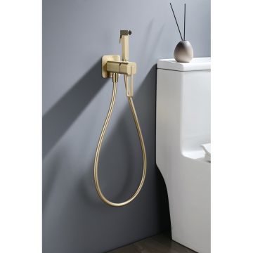 Смеситель для душа Ganzer (Ганзер) GZ12157-S скрытого монтажа, матовое золото