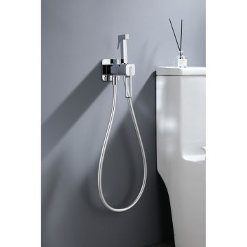 Смеситель для душа Ganzer (Ганзер) GZ12157 скрытого монтажа, хром