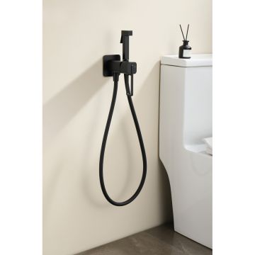 Смеситель для душа Ganzer (Ганзер) GZ12157-C скрытого монтажа, черный