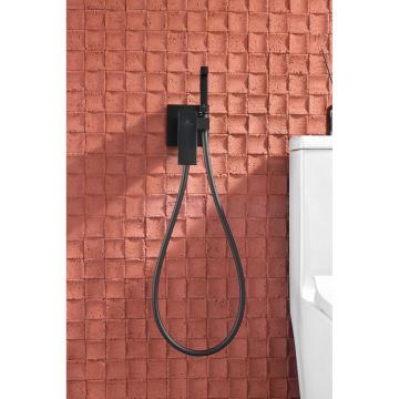 Смеситель для биде Ganzer (Ганзер) GZ44157-C скрытого монтажа, черный