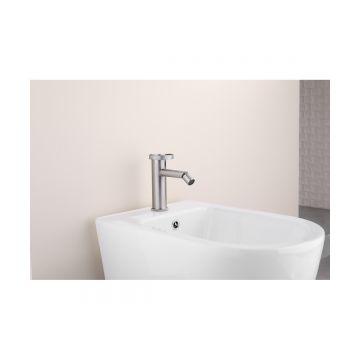 Смеситель для биде Ganzer (Ганзер) GZ19151-G, сатин