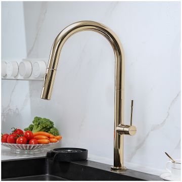 Смеситель для кухни Домачи Ливорно D6600CG золото, Domaci