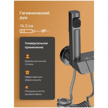 Душевая стойка Диво Владимир D01180GB с гигиеническим душем, вороненая сталь, Diwo