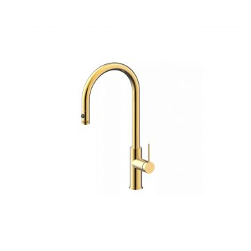 Смеситель для кухни Paulmark (Паульмарк) Galant, светлое золото, Ga213077-LG