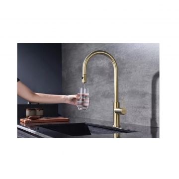 Смеситель для кухни Paulmark (Паульмарк) Galant, светлое золото, Ga213077-LG