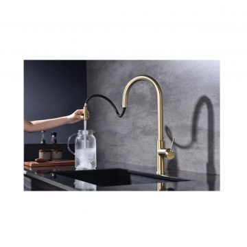 Смеситель для кухни Paulmark (Паульмарк) Galant, светлое золото, Ga213077-LG