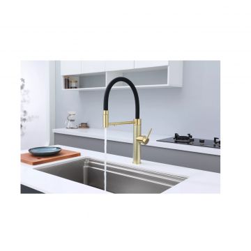 Смеситель для кухни Paulmark (Паульмарк) Ganymede Diamond, светлое золото, Gd613199-LG