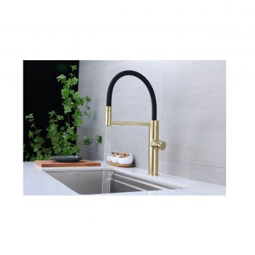 Смеситель для кухни Paulmark (Паульмарк) Ganymede, светлое золото, Ga213199-LG