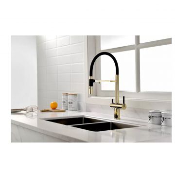 Смеситель для кухни Paulmark (Паульмарк) Gravity, золото, Gr213888-G