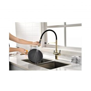 Смеситель для кухни Paulmark (Паульмарк) Gravity, золото, Gr213888-G