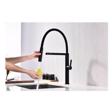 Смеситель для кухни Paulmark (Паульмарк) Leader, антрацит, Le214101-AN