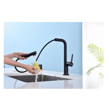 Смеситель для кухни Paulmark (Паульмарк) Neo, антрацит, Ne214419-AN