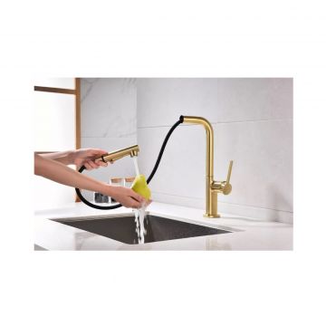 Смеситель для кухни Paulmark (Паульмарк) Neo, светлое золото, Ne214419-LG