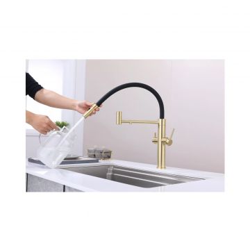 Смеситель для кухни Paulmark (Паульмарк) Nexus, светлое золото, Ne213999-LG