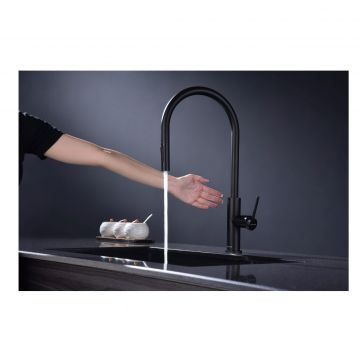 Смеситель для кухни Paulmark (Паульмарк) Senso, антрацит, Se215180-AN