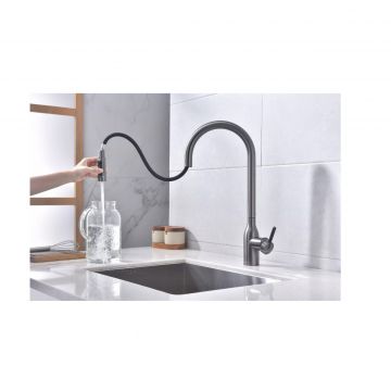 Смеситель для кухни Paulmark (Паульмарк) Universal, вороненая сталь, Un213880-GM