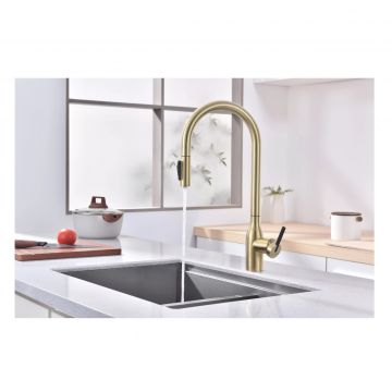 Смеситель для кухни Paulmark (Паульмарк) Universal, светлое золото, Un213880-LG