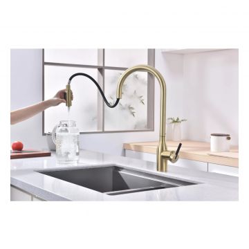 Смеситель для кухни Paulmark (Паульмарк) Universal, светлое золото, Un213880-LG