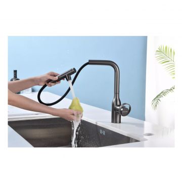 Смеситель для кухни Paulmark (Паульмарк) Urban, вороненая сталь, Ur213104-GM