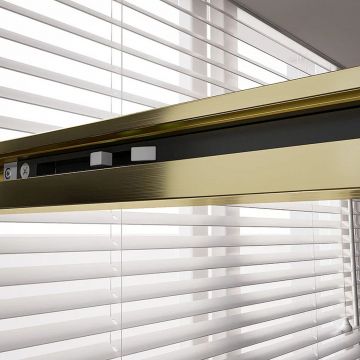 Душевая дверь Veconi Premium Trento PTD-40G PTD40-G-150-01-C4 Стекло прозрачное 1500х2000х8 мм золото