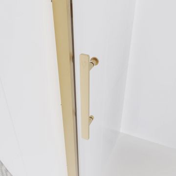 Душевая дверь Veconi (Векони) Evo 100 G, 1100x1950 мм, золото брашинг, стекло прозрачное 6 мм, E1-G-110-01-C9