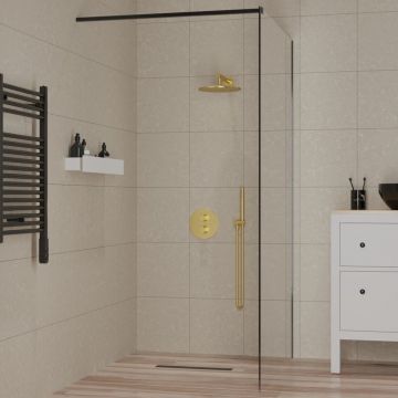 Душевая перегородка Paini (Паини) 110x195 рисунок рамка, черный матовый PAINI-WalkIN110F