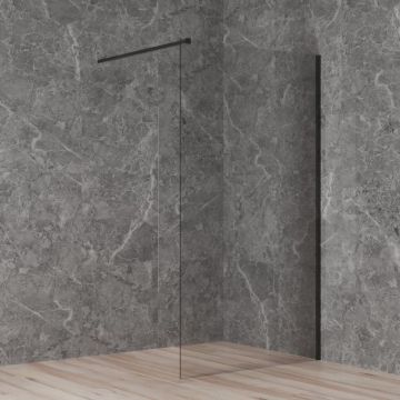 Душевая перегородка Paini (Паини) 110x195 стекло прозрачное, черный матовый PAINI-WalkIN110C