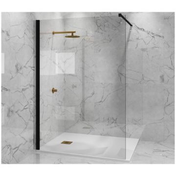 Душевая перегородка Paini (Паини) 90x195 стекло прозрачное, черный матовый PAINI-WalkIN90C