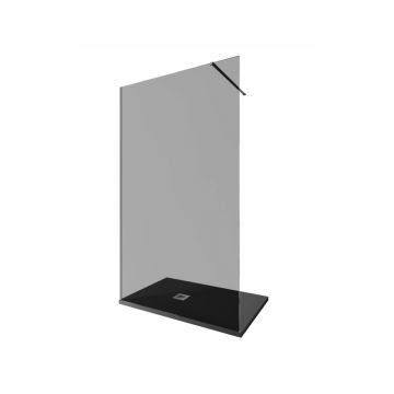 Душевая перегородка Allen Brau Infinity 1 Walk In,160x200 см 3.21032.BA.T, стекло тонированное, профиль серебро брашированное