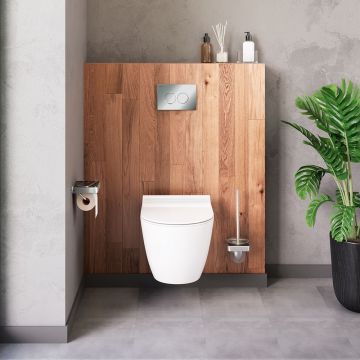 Подвесной унитаз Damixa (Дамикса) Apollo без ободка, с сиденьем микролифт, белый, DX22C1700SC