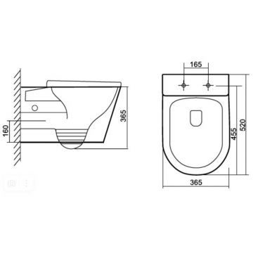 Унитаз подвесной Тритон (Triton) Pro Verso VO-0832 Bidet сиденье, фурнитура, с функцией биде (Щ0000060851)