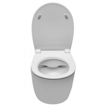 Унитаз подвесной Allen Brau Fantasy 4.11004.21 безободковый, без сиденья, белый матовый