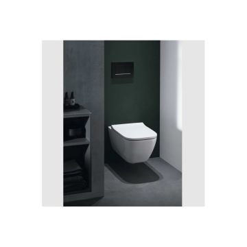 Клавиша смыва Geberit (Гэберит) Sigma 30, двойной смыв, 115.883.14.1 черный