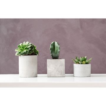 Декоративное покрытие Decorazza (Декоразза) Microcemento Struttura + Legante MC 001 7,2 кг