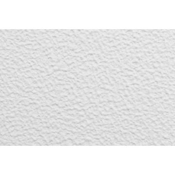 Декоративная штукатурка Роллерная Prorab (Прораб) Оптима OR 001 15 кг (PROL001-15)