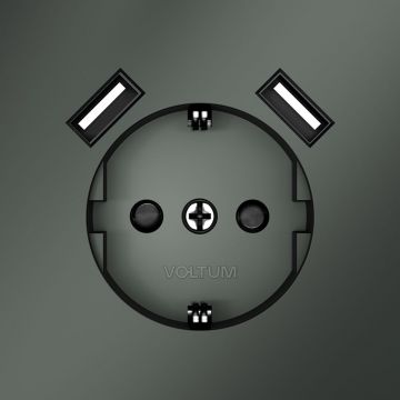 Розетка встраиваемая Voltum (Вольтум) S70 с заземлением и защитными шторками, 16А, с USB, A+A, (титан) VLS040406