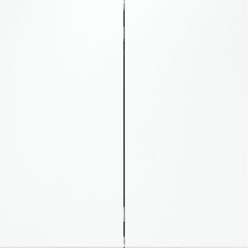 Выключатель с самовозвратом встраиваемый Voltum (Вольтум) S70 двухклавишный 10А, (белый матовый) VLS020602